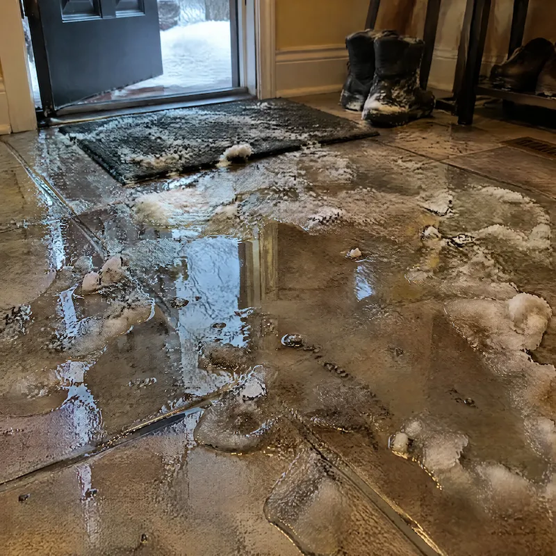 shot of a large dirty puddle of melted snow and road salt spreading across an entryway floor.